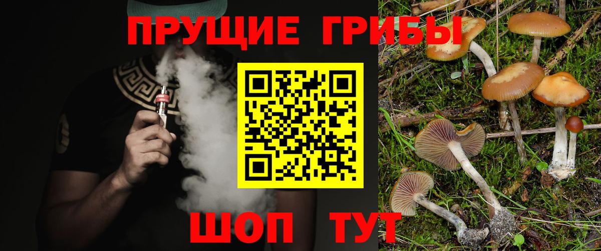 Галлюциногенные грибы MAGIC MUSHROOMS  Вход с VPN  Галлюциногенные грибы прущие грибы  Кирово-Чепецк 